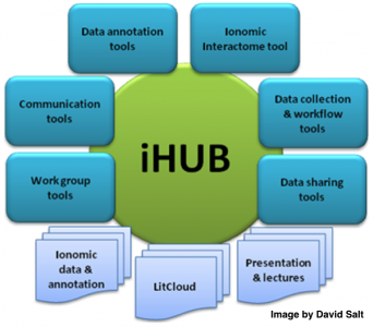 IHUB_2.png