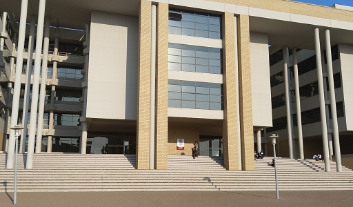 Botswana university