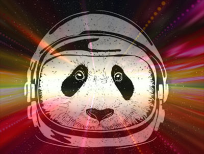 pandas_in_space copy.jpg